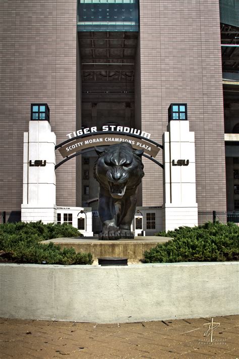 LSU Tiger Stadium — PCI GULF SOUTH