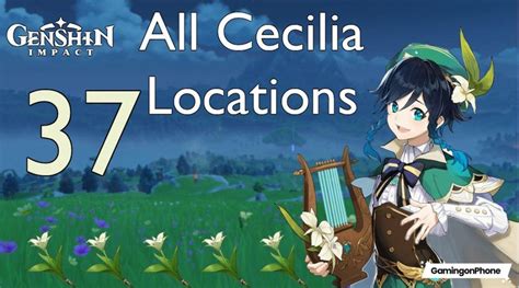 Genshin Impact Guide: Where to find the Cecilia Flowers