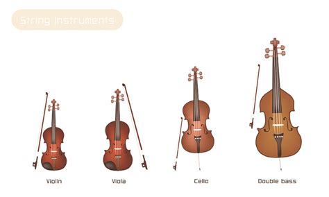 Violin, Viola, Cello, and Bass! What is the difference? | Lessons in ...