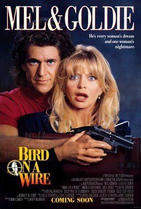 Common Sense Movie Reviews: Bird on a Wire (1990)