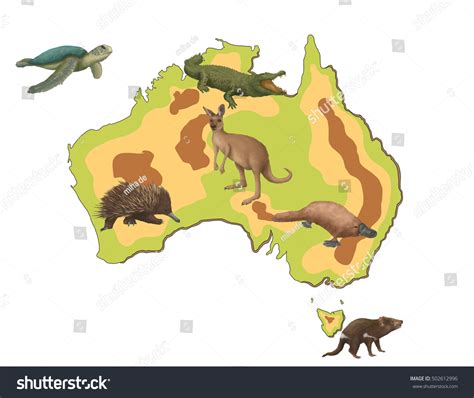 Australia Map Kids Animals Stock Illustration 502612996 | Shutterstock