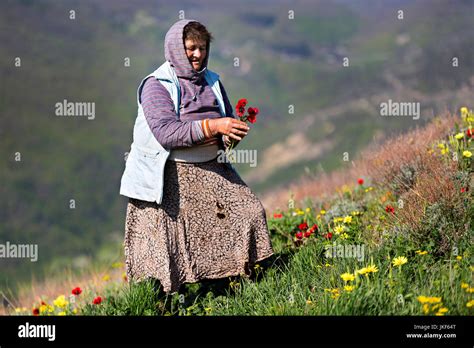 Georgian woman picking flowers in the Caucasus Mountains, Georgia Stock ...