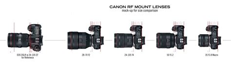 Size Comparison: Canon RF Lenses Mounted to Canon EOS R Body - Camera Times