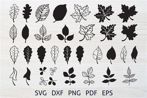 Art & Collectibles Clip Art autumnal leaves svg files autumn leaves svg clipart leaves clipart ...