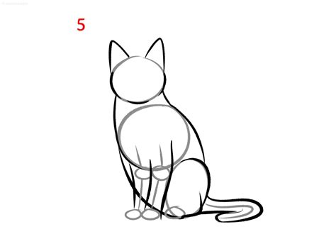 How To Draw A Step By Step Cat