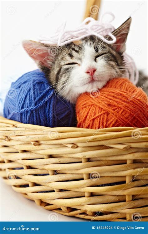 Cat Playing With Yarn Stock Images - Image: 15248924