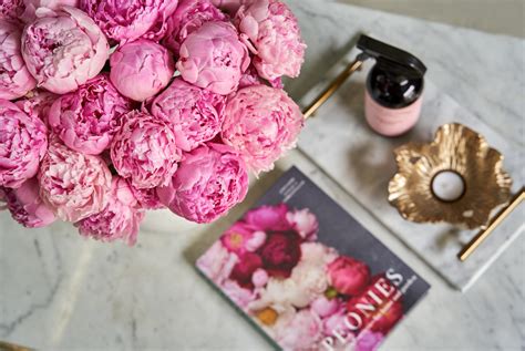 Peony Flower Symbolism and Color Guide | Darcey Flowers