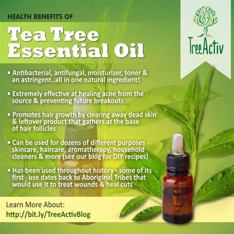 Tea Tree Essential Oil - Perfect Ingredient For Skin, Hair | TreeActiv