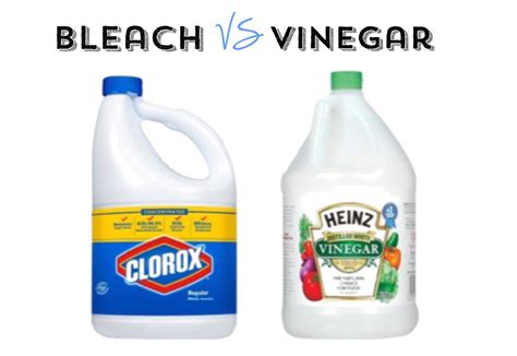 Natural Cleaning: Bleach vs. Vinegar + All-Purpose Cleaner Recipe | Natural cleaning products ...