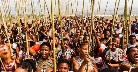 South Africa: Joy as Zulu reed dance festival returns | Africanews