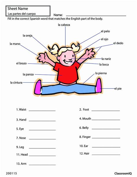 50 Body Parts In Spanish Worksheet – Chessmuseum Template Library