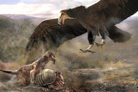 Fakta Argentavis, Burung Terbesar yang Pernah Hidup di Bumi