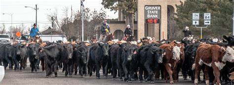 Gruver, Texas - Western Bank