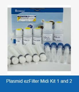 Plasmid Purification Kit – Interlabs LLC