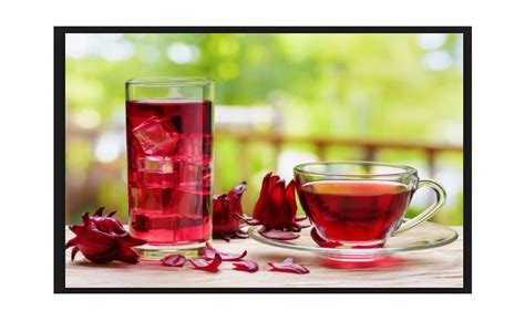 Bring down Blood Pressure Naturally with Hibiscus Tea - Quitalks.com