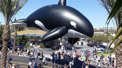 Dana Point Festival of Whales 2022 | Tickets Dates & Venues – CarniFest.com