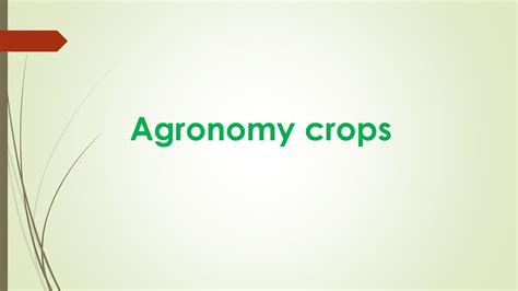 Classification of agronomy crops - ppt download