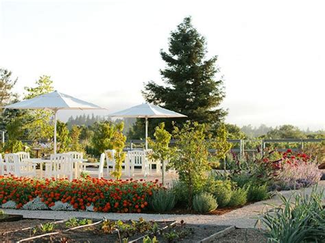 Top Wineries in Santa Rosa | Santa rosa wineries, Santa rosa california ...