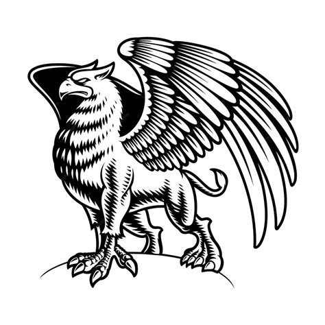 Premium Vector | Black and white griffin isolated on white