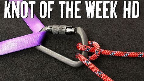 Belay and Control Your Descent with the Munter Hitch - ITS Knot of the W... | Knots, Hitched, Week