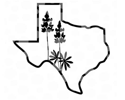 State Of Texas Outline Drawing at GetDrawings | Free download