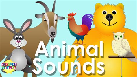 Best Animal Sounds Song Part 2 - YouTube