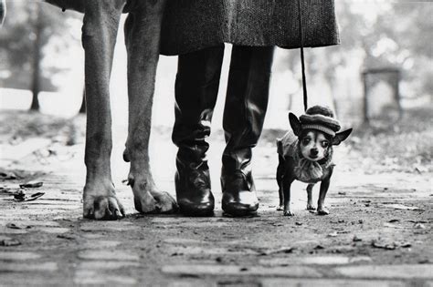 Elliott Erwitt - New York City, 1946 - Elliott Erwitt (Black and White Photography) For Sale at ...