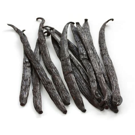 Madagascar Vanilla Beans - Red Stick Spice Company