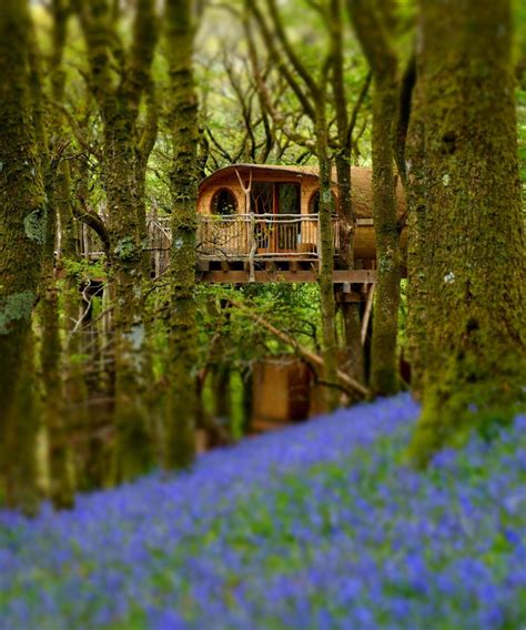 Five amazing treehouses as seen on George Clarkes Amazing Spaces ...