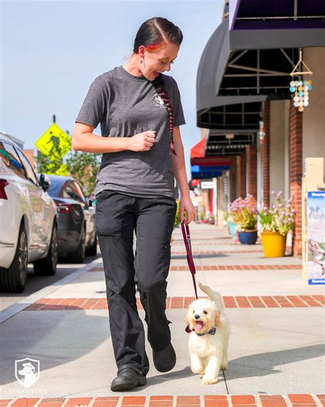 How to Leash Train Your Pup