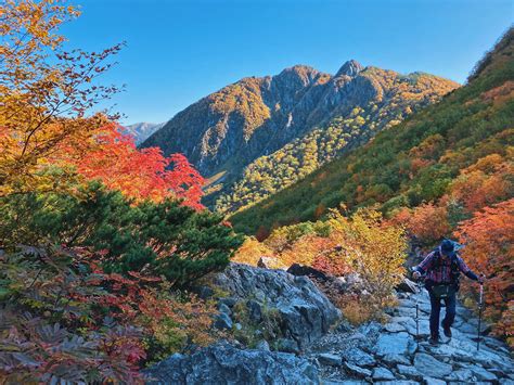 Visiting Japan in the Fall: Experience the Colorful Autumn Leaves in ...