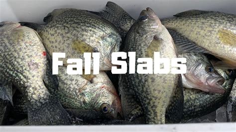 Fall Crappie Fishing - YouTube