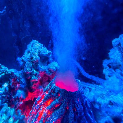 Underwater Volcano Stock Photo - Download Image Now - Underwater ...