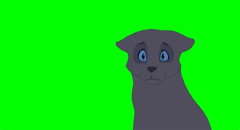 Warrior Cat Animation