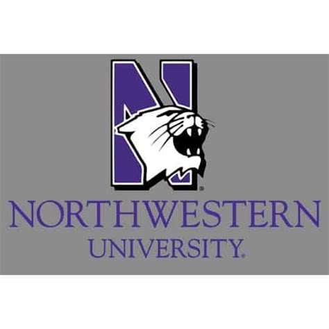 Northwestern Wildcats Postcard NU Mascot Design on Gray Background NU0005