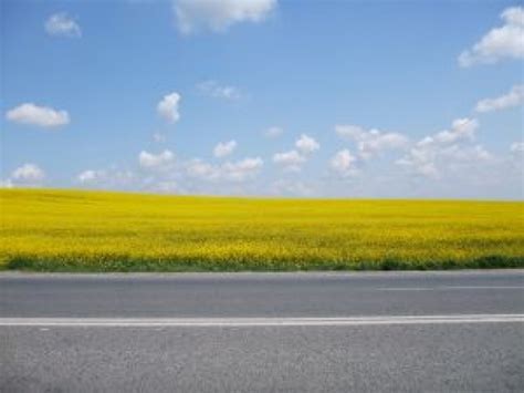 Horizontal Road Background Clipart Horizontal road background vectors 2 814