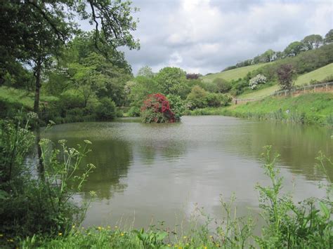 Coombe Water Fishery | Coombe Farm - Devon