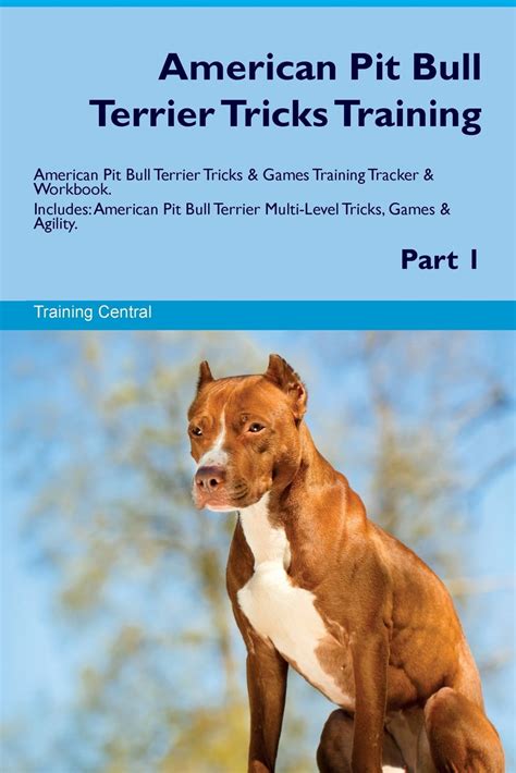 79+ Pit Bull Terrier Training Tips Image - Bleumoonproductions