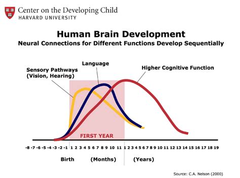 brain graph – FLMIECHV