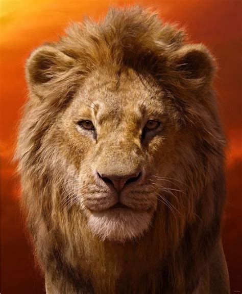 Simba (2019) | Heroes Wiki | Fandom