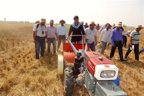 Conservation agriculture key in meeting UN Sustainable Development ...