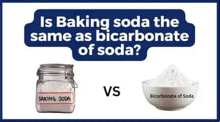 Is Baking soda the same as bicarbonate of soda? (Explained)