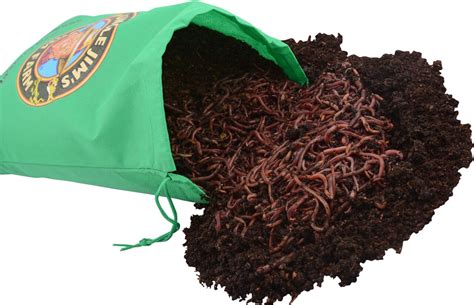 5000 Red Wigglers Worms Composting Mix | Uncle Jim's Worm Farm