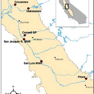 Map of areas surveyed for the regional riparian forest analysis ...