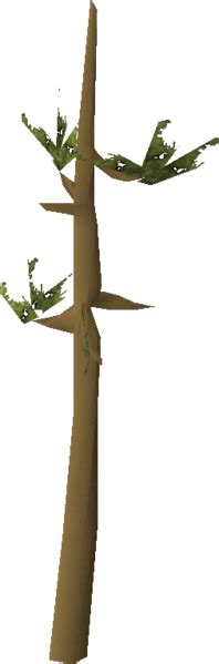 Yew tree (Farming) - OSRS Wiki