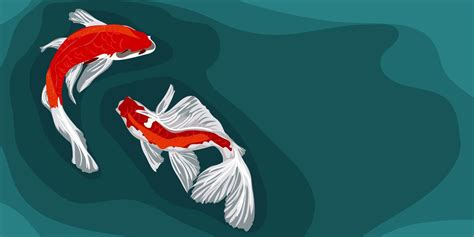 Orange koi fish on a blue background with simulated depth. Asian ...