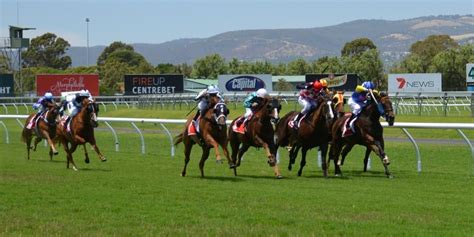 6 fun facts about Melbourne Cup - Cannon Logistics