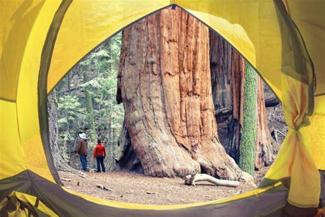 A First-Timer's Guide to Sequoia National Park - US Park Pass