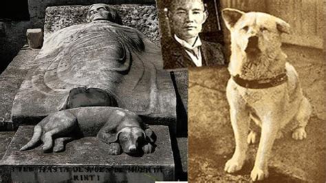 La historia de Hachiko, el perro fiel