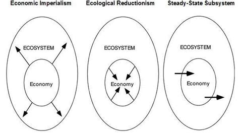 Integrating Ecology and Economics – The Daly News Archives